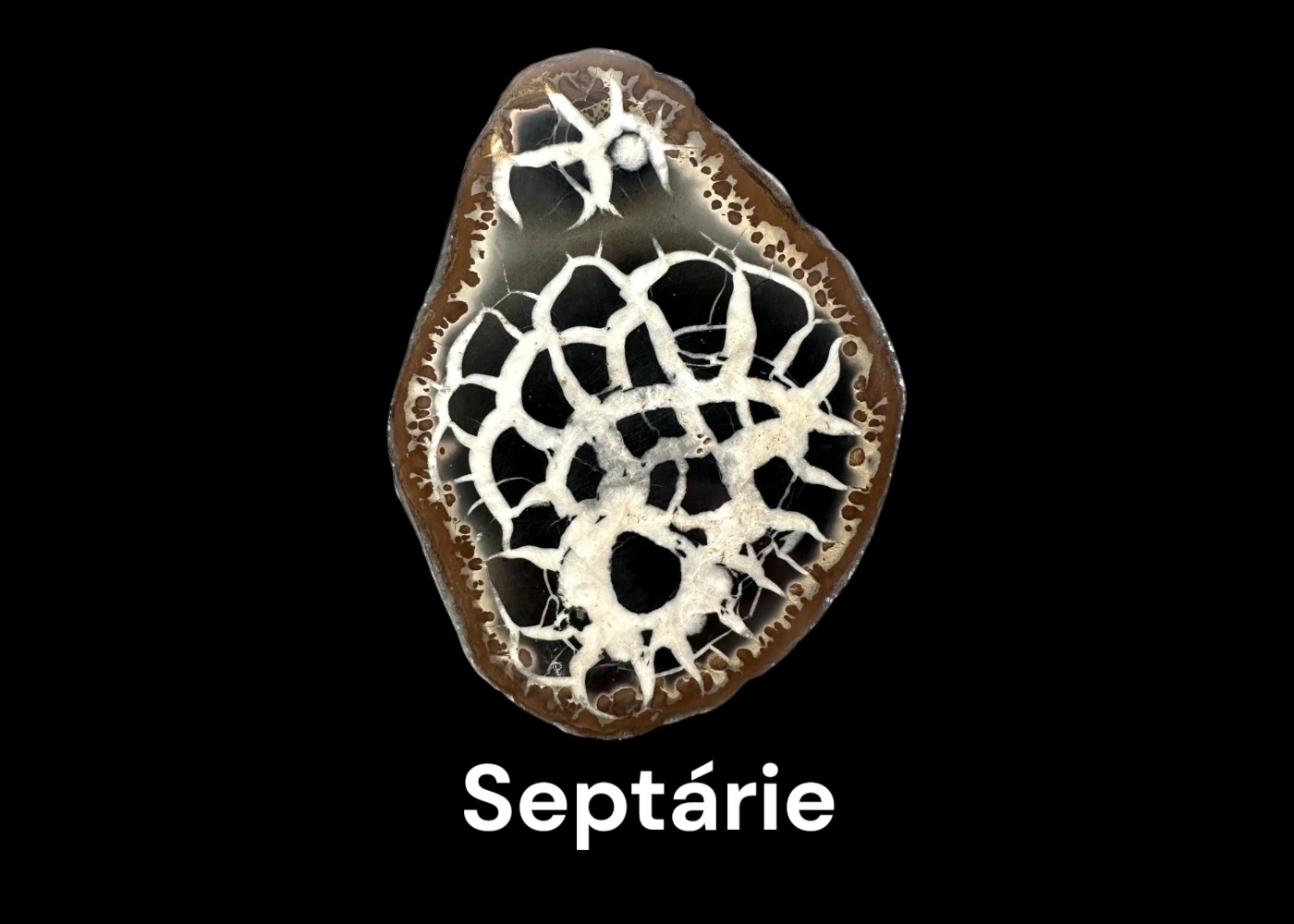 Septárie
